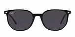 BLACK / black / polarized black