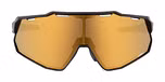 Matte Black with Gold Mirror Lenses