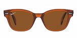 TRANSPARENT BROWN / brown / brown polarized