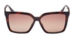 DARK HAVANA / DARK HAVANA / BROWN POLARIZED