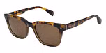 GLOSS TORT/ KHAKI GRAD