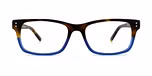 Tortoise/Blue