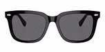 Shiny Black / Grey