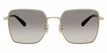 Shiny Light Gold/Black / Grey Gradient