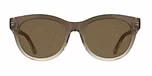 TRANSPARENT GRADIENT BROWN / SAN