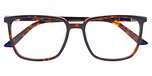 HAVANA (BROWN) MEDIUM SHINY