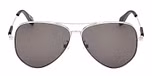 SHINY PALLADIUM / SHINY PALLADIUM / SMOKE POLARIZED