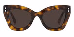 BROWN HAVANA (BROWN)