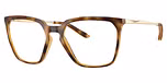 Polished Brown Tortoise