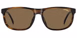 BROWN HORN (BRONZE POLARIZED)