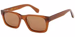 Brown with Brown Lens