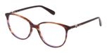 BROWN W/VIOLET STRIPED