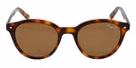 BROWN / Brown / TRI ACETATE CELLULOSE / Polarized