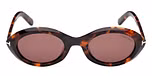 DARK HAVANA / DARK HAVANA / BROWN
