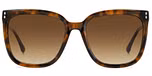 HAVANA (BROWN SHADED / GRADIENT)