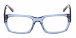 Shiny Blue / Shiny Blue