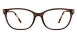 Brown / Gold