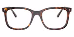 Havana / Tortoise