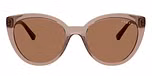 Transparent Brown / Brown / Dark Brown