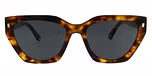 Tortoise / Polarized