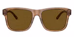 Shiny Green/Top Brown / Dark Brown