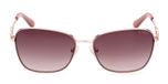 PINK / OTHER / GRADIENT BROWN