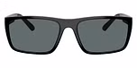 Black / Polarized Grey