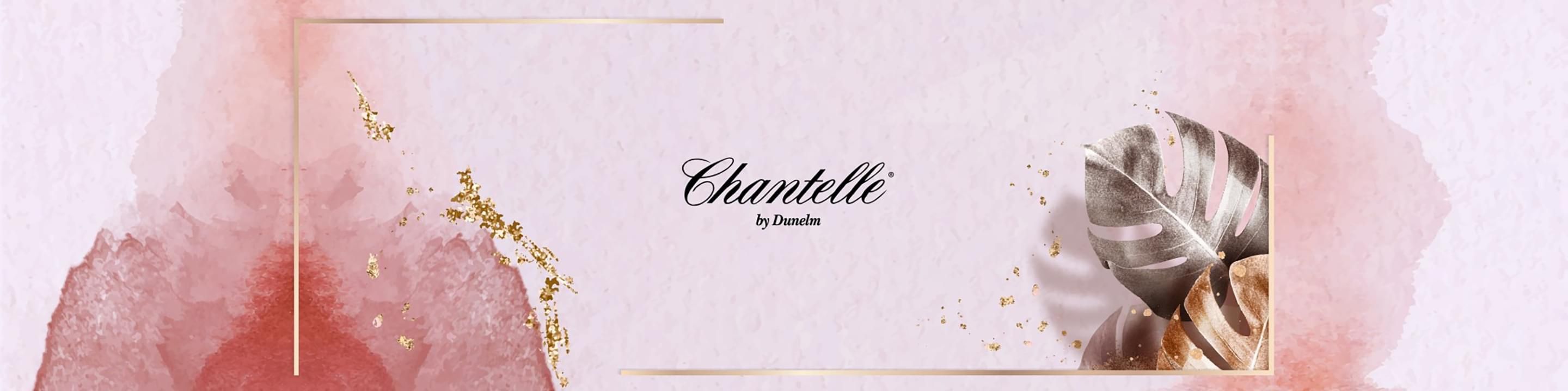 Chantelle 设计师太阳镜桌面 宣传横幅