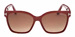 SHINY BORDEAUX / SHINY BORDEAUX / GRADIENT BROWN