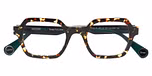 DOTTED TORTOISE