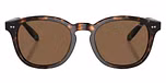 Shiny Dark Havana / Brown