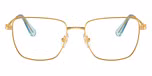 Gold / Gold