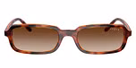 Dark Havana / Brown / Gradient Brown