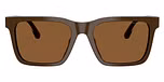Shiny Brown / Brown / Brown