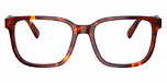 Walnut Tortoise