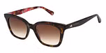 GLOSS CLASSIC TORT / GRADUATED