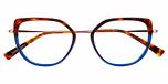TORTOISE GRADIENT SHINY