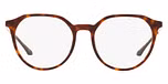 Dark Havana / Brown