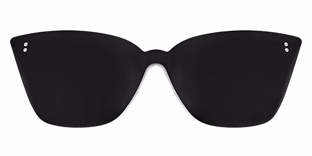 Icon - G5065 - With Polarised Clip on