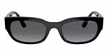 Black / Black / Gradient Grey Polarized