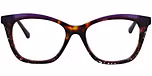 PURPLE / TORT