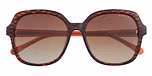 Tort & papaya orange temples / Brown grad (Cat 3)
