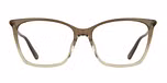 TRANSPARENT GRADIENT BROWN