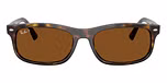 Havana / Tortoise / Polarized Brown