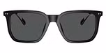 Shiny Black / Dark Grey