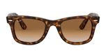 LIGHT HAVANA / havana / clear gradient brown