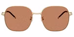 Matte gold / Brown