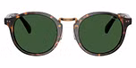 Shiny Dark Havana / Bottle Green