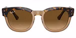Havana On Transparent Brown / Brown polarized