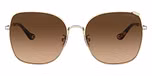Shiny Light Gold / Dark Brown Gradient